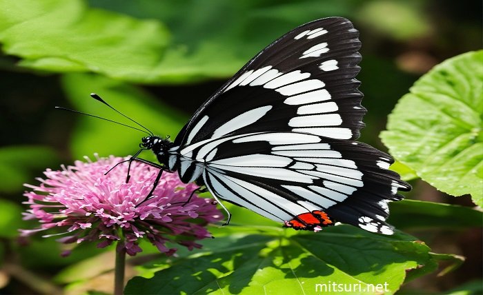 butterfly hashira